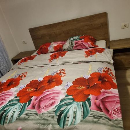 Caci Daire Črni Kal Dış mekan fotoğraf