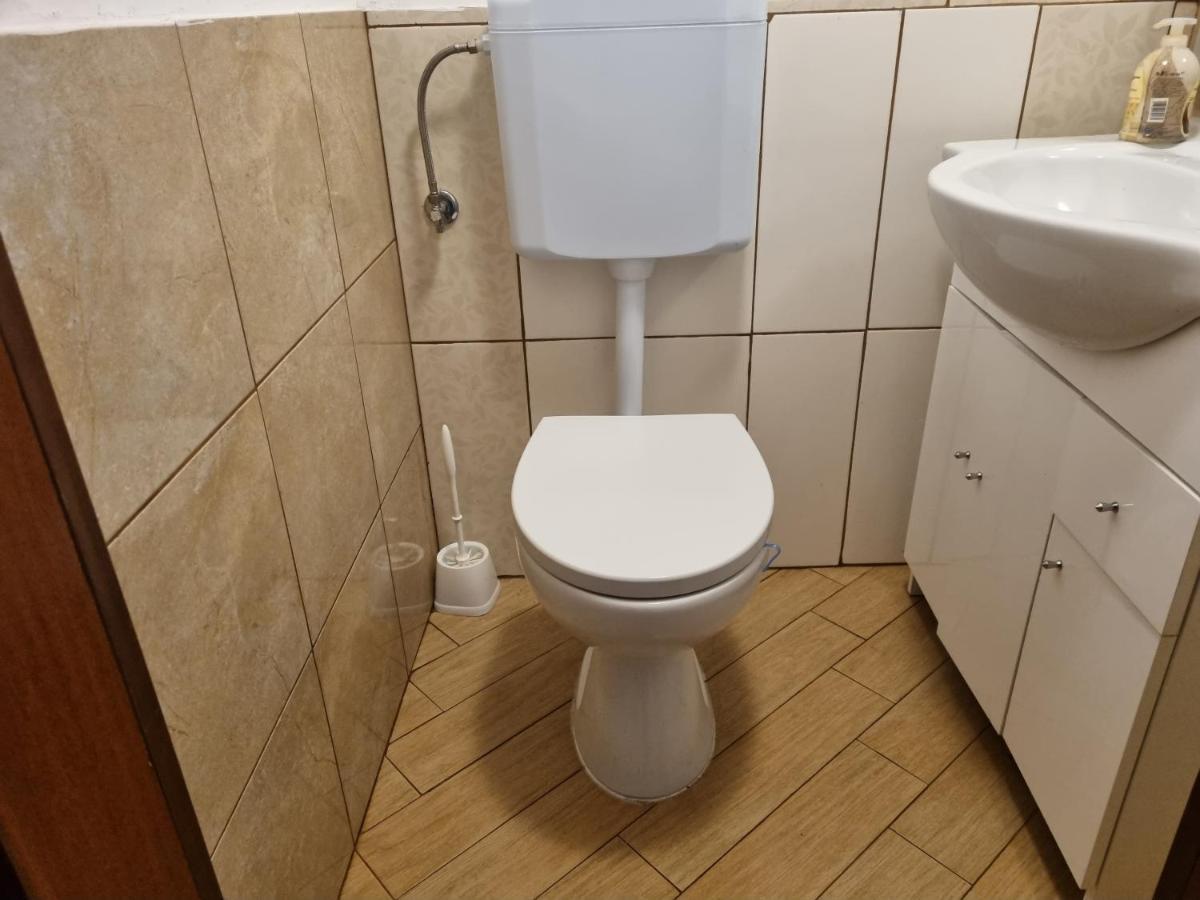 Caci Daire Črni Kal Dış mekan fotoğraf